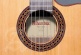 Etude Iberia Ziricote Ctw E8 + 9738 25mm Housse