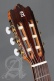 Etude Iberia Ziricote Ctw E8 + 9738 25mm Housse