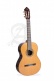 Professional Luthier Premier Pro Madagascar + 9650 Bam Iconic Case