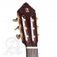 Professional Luthier Premier Pro Madagascar + 9650 Bam Iconic Case
