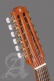 Student 2C Op Bandurria + 9531 Gigbag