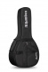 Student 2C Op Bandurria + 9531 Gigbag