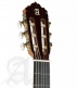 Conservatory 7Fc Flamenco + 9738 25mm Gigbag