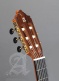 Concert 8Fc Flamenco + 9557 Case