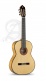 Concert 10Fc Flamenco + 9557 Etui