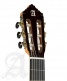 Concert 10Fc Flamenco + 9557 Etui