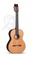 Concert 10Fp Piñana Flamenco + 9557 Case