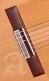 Concert 10Fp Piñana Flamenco + 9557 Case
