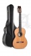 Concert 10Fp Piñana Flamenco + 9557 Case