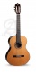 Concert 10 Premier + 9557 Case