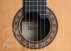 Concert 10 Premier + 9557 Case