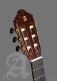 Concert 10 Premier + 9557 Case