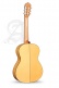 Conservatoire 5F Flamenco + 9738 25mm Housse