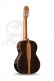 Professional Luthier Aniversario + 9650 Bam Iconic Case