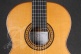 Professional Luthier Aniversario + 9650 Bam Iconic Case
