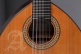 Conservatory 4P Bandurria + 9531 Gigbag
