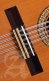 Conservatoire 4P Bandurria + 9531 Housse