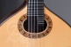 Conservatory 6P A Bandurria + 9531 Gigbag