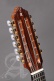Conservatory 6P A Bandurria + 9531 Gigbag