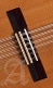 Student L-3C Lutes + 9534 Gigbag