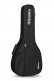 Student L-3C Lutes + 9534 Gigbag