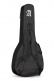 Student L-3C Lutes + 9534 Gigbag