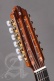 Conservatoire L-6P A Lutes + 9534 Housse