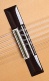 Concert L-11P A Lutes + 9564 Case