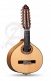 Conservatoire 6Fc Bandurria + 9531 Housse