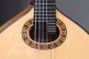 Conservatoire 6Fc Bandurria + 9531 Housse