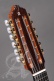 Conservatoire 6Fc Bandurria + 9531 Housse