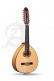 Conservatory L-6Fc Lutes + 9534 Gigbag