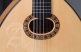 Conservatory L-6Fc Lutes + 9534 Gigbag