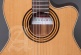 Concert Cs-1 Cw E1 Crossover + 9738 25mm Gigbag