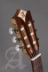Concert Cs-1 Cw E1 Crossover + 9738 25mm Gigbag