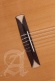 Concert Cs-1 Cw E1 Crossover + 9738 25mm Gigbag