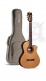 Concert Cs-1 Cw E1 Crossover + 9738 25mm Gigbag