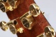 Concert Css-3 Cw E9 Crossover + 9738 25mm Housse