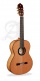 Conservatory 6 Olivo + 9738 25mm Gigbag