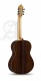 Concert 9P + 9557 Case