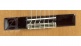 Concert 9P + 9557 Case