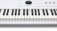 Astrolab 88 Blanc