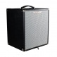 STUDIO 12 - SUPER LIGHTWEIGHT 120W BASS COMBO