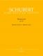 SCHUBERT F. - WINTERREISE OP.89 D 911 - MEDIUM VOICE, PIANO