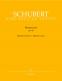 SCHUBERT F. - WINTERREISE OP.89 D 911 - MEDIUM VOICE, PIANO