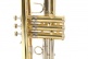 TR450 - Sib Vernie