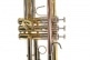 BACH TR-501 BB TRUMPET (GOLD LACQUER)