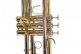 TR501 - Sib Vernie