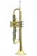 New Standard Sib Vernie - BE110-1-0