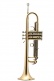 New Standard Sib Vernie - BE110-1-0